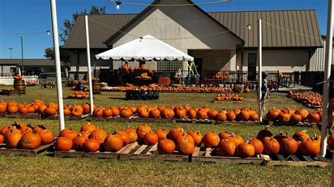 pumpkin patch in beaumont|united methodist pumpkin patch.